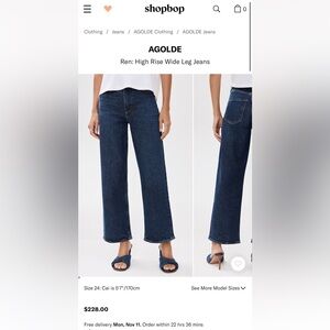 Agolde Ren jeans in echo wash